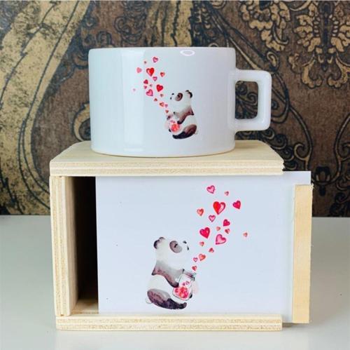 Büyücü Panda Tasarımlı Kutulu Kupa