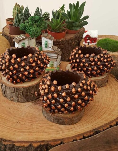Kaktüs Ve Succulentler Için El Yapımı 3'Lü Kozalak Tasarım Mini Saksı