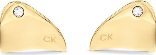 CKJ35000660 Kadın Küpe
