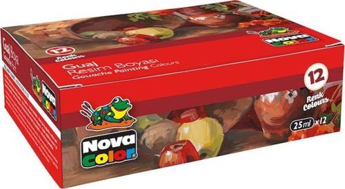 GUAJ BOYA ŞİŞE 12'Lİ TK NC-461