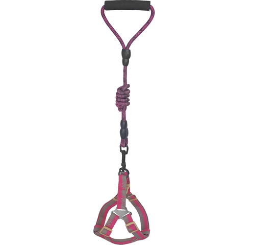 Köpek Göğüs Tasma Seti Dalga Desenli 2 cm*40-58 cm Mor-Pembe