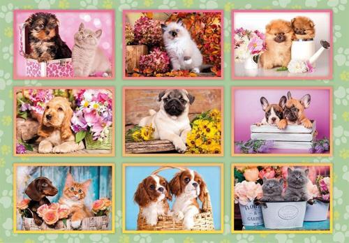 Puppies Collage Puzzle 180 Parça 29788