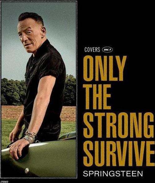 Bruce Springsteen Only The Strong Survive (Black Vinyl) Plak