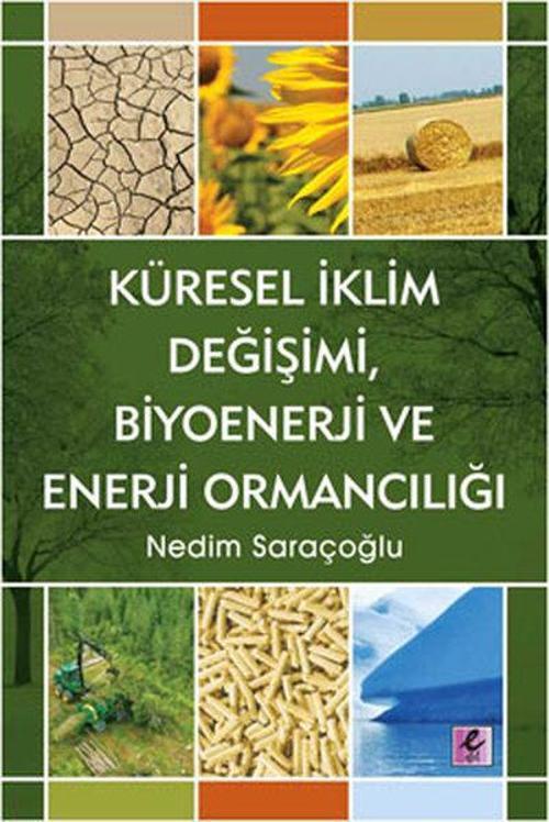 Küresel İklim Değişimi Biyoenerji