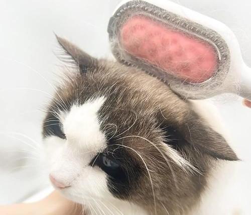 Kedi Köpek Tüy Toplama Tarağı