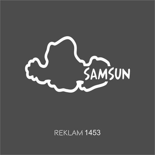 Samsun İl Sınırı Oto Sticker Oto Sticker 14 x 7 Cm