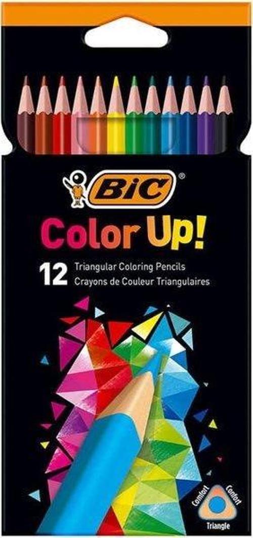 Color Up Üçgen 12'li Kuru Boya