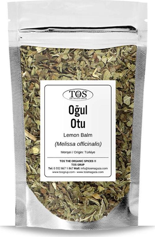 Oğul Otu 250 gr (1. Kalite) Anadolu Melisa Otu, Kokusuz