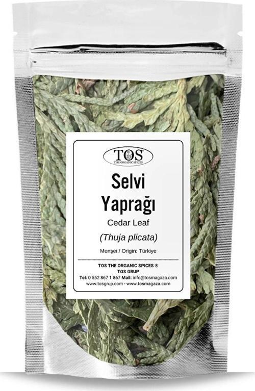 Selvi Yaprağı 250 gr (1. Kalite) Thuja plicata / Cypress Leaf