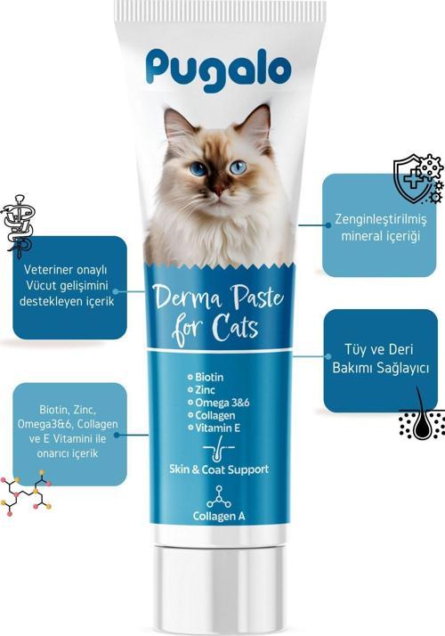 Derma Paste