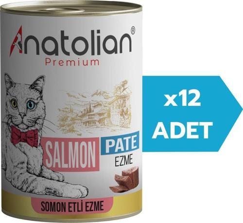 Adult Salmon Pate Somonlu Yetişkin Ezme Kedi Konservesi 400 gr x 12 Adet