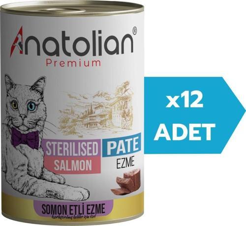 Adult Sterilised Salmon Pate Kısır Kedi Ezme Kedi Konservesi 400 gr x 12 Adet