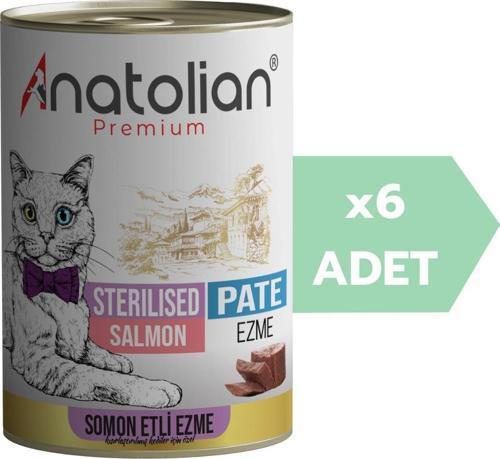 Adult Sterilised Salmon Pate Kısır Kedi Ezme Kedi Konservesi 400 gr x 6 Adet