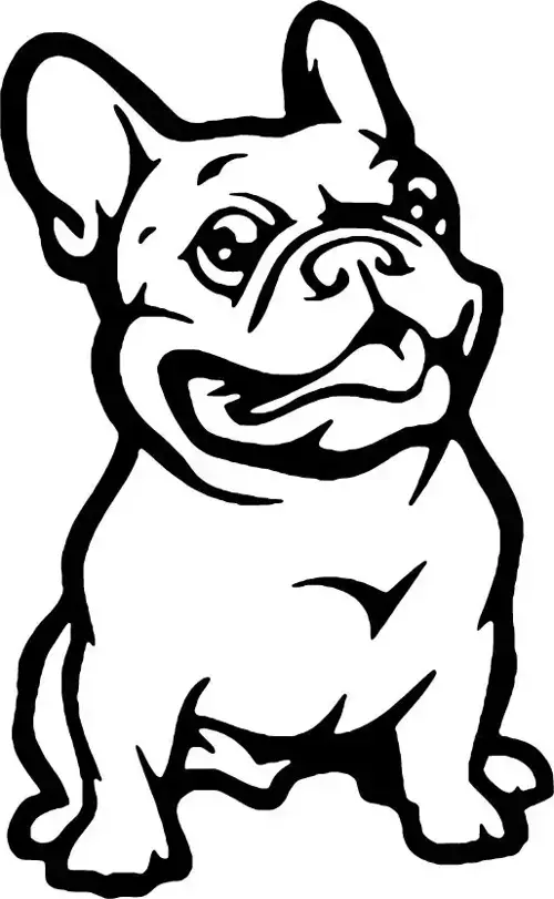 Sevimli Bulldog Sticker Duvar Dekor Sticker 40 x 64 cm