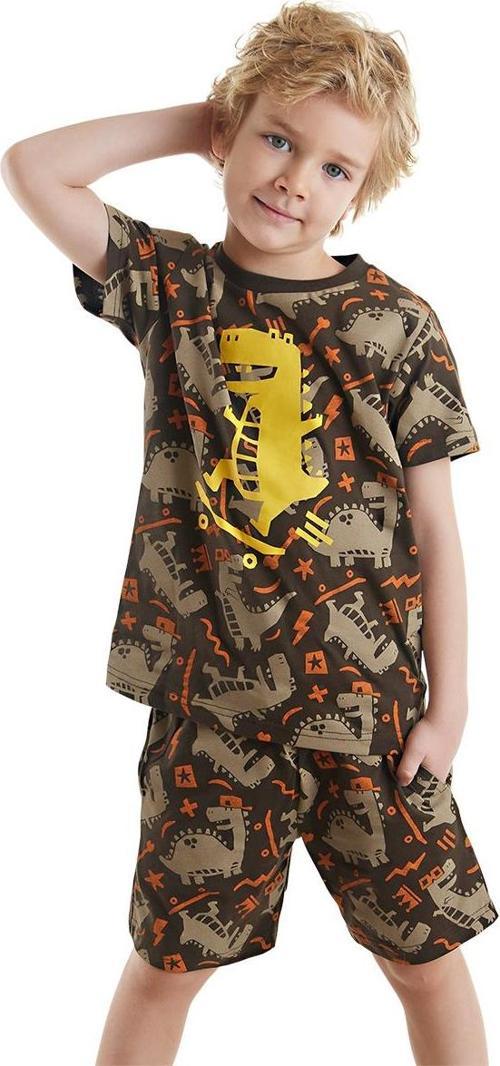 Kaykay Dino Erkek Çocuk Yazlık T-shirt Şort Takım