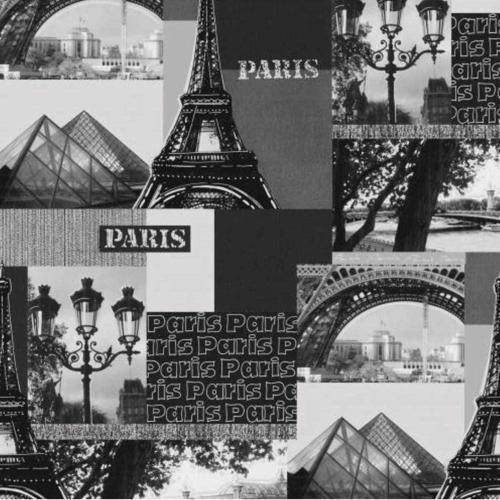 HELLO KIDS FRANSIZ ÇOCUK DUVAR KAĞIDI 11096319 (5m2)