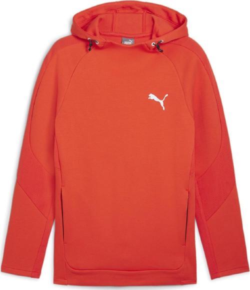 68169918 Evostripe Erkek Sweatshirt