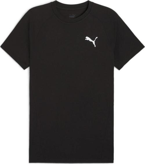 68169701 Evostripe Tee Erkek Spor Tişört