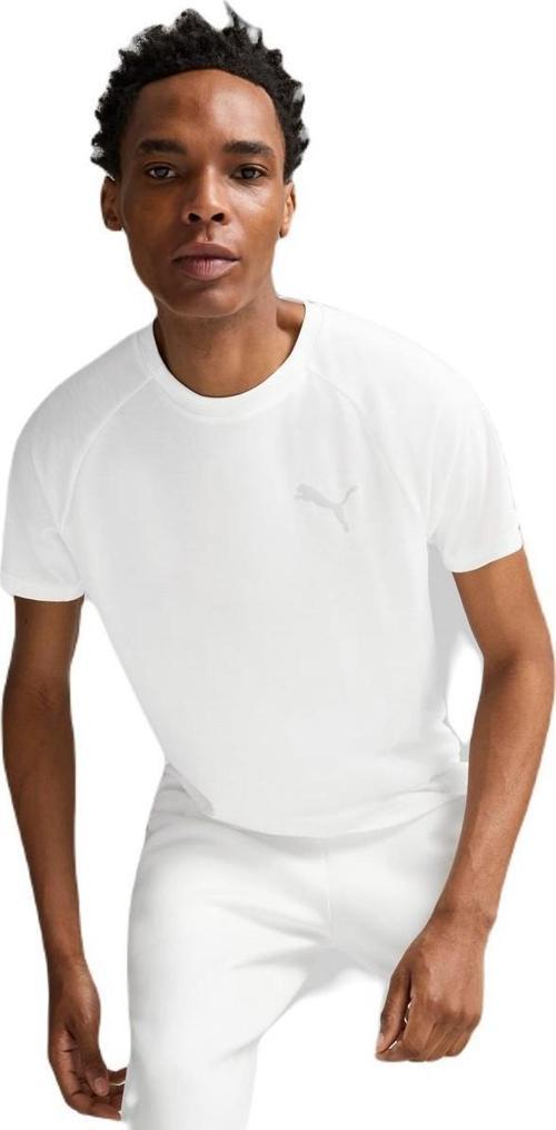 68169702 Evostripe Tee Erkek Spor Tişört