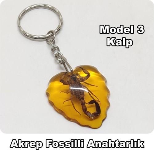 - Akrep Fosilli - Toz Kehribar Anahtarlık - 4 Model