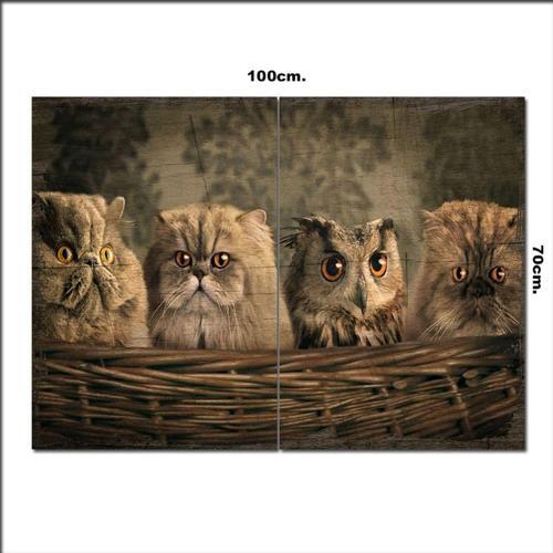 Ahşap Tablo Baykuş Ve Kediler Baskılı 70*100Cm