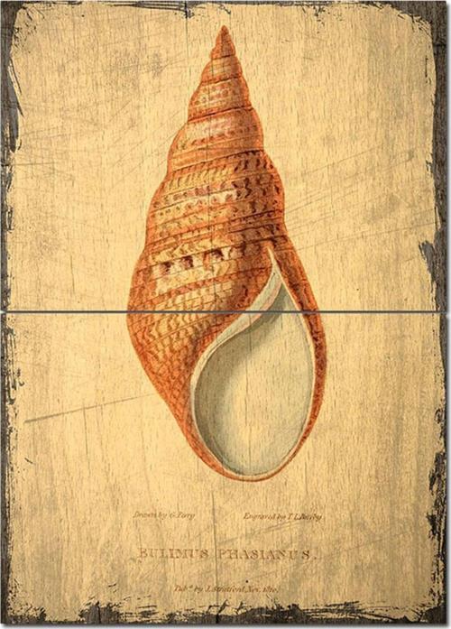 Ahşap Tablo Deniz Kabuğu Dekoratif Mdf Tablo