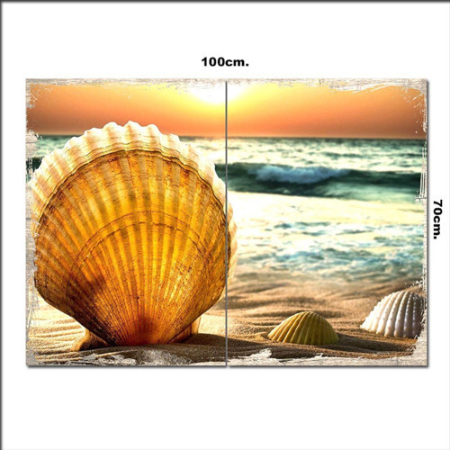 Ahşap Tablo Deniz Kabukları 70*100Cm