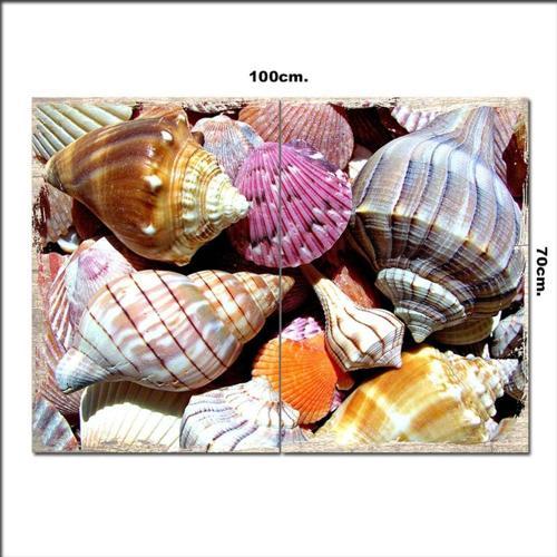 Ahşap Tablo Renkli Deniz Kabukları 70*100Cm