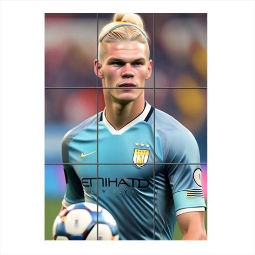 Erling Haaland Temalı 9 Parça Puzzle Tablo