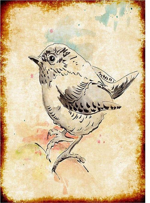 Karakalem Kuş Modern Mdf Tablo