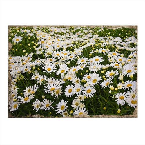 Papatyalar Tasarım Ahşap Tablo 50Cm X 70Cm