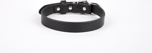 Deri El Yapımı Köpek Boyun Tasması 1,5x20-26 cm Siyah