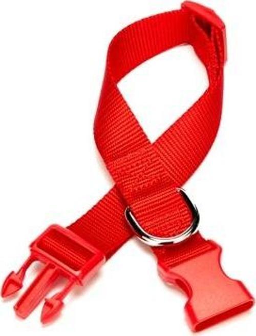 Dokuma Köpek Boyun Tasması 2 cm x 30-45 cm Kırmızı 25 kg