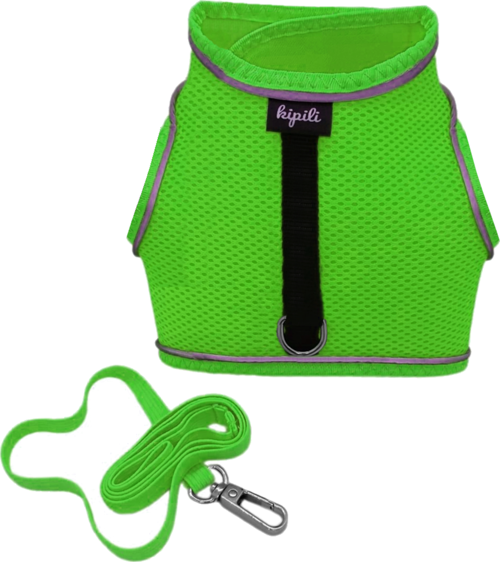 Çift Kilitli Sportif Kedi Köpek Göğüs Tasma Seti 30-38 cm Small Yeşil
