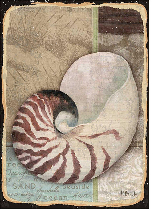 Deniz Kabuğu Modern Mdf Tablo