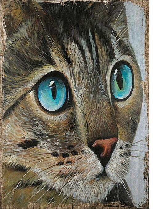 Mavi Gözlü Kedi Art Mdf Tablo