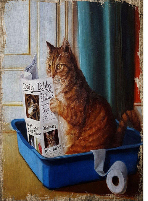 Tuvalette Gazete Okuyan Kedi Modern Mdf Tablo