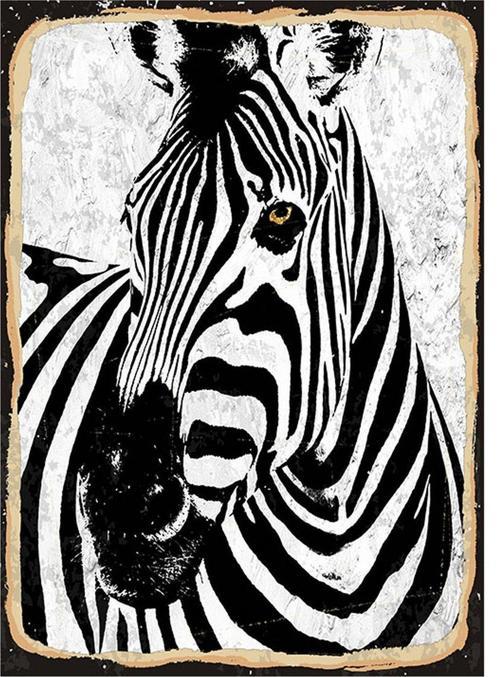 Zebra Mdf Poster