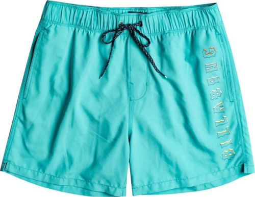 EBYJV00105 All Day Heritage Lb Erkek Şort Mayo