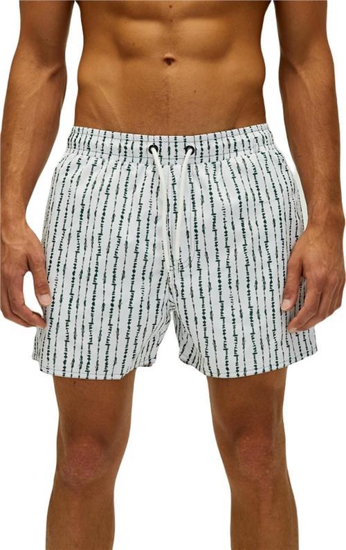 22.01.09.005-C70 Flick Erkek Deniz Şortu