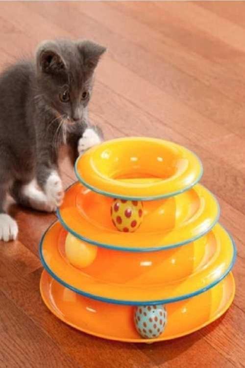 Toplu Yuvarlak Kedi Oyuncağı Kedi Eğlencesi