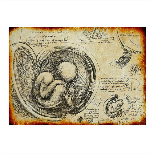 Bebeğin Anatomisi Dekoratif Mdf Tablo