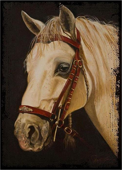 Beyaz At Dekoratif Ahşap Tablo 32Cm X44Cm