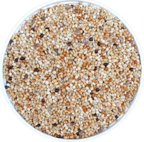 Muhabbet Kuşu Yemi 1 Kg