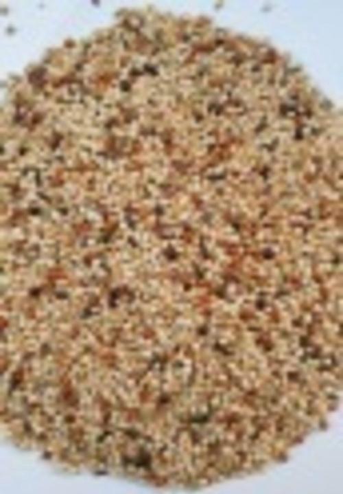Karışık Muhabbet Kuşu Yemi Süper Kalite Özel Paket 10 Kg