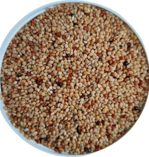 10 Kg Muhabbet Kuşu Özel Üretim Yemi - Zengin Içerik -Yüksek Kalite