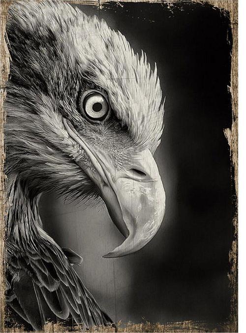 The Matrix Dekoratif Mdf Tablo