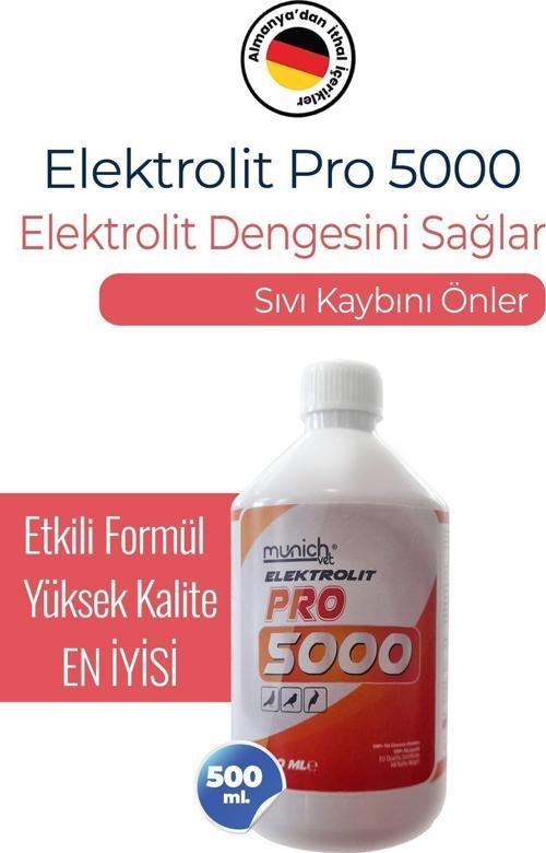 Elektrolit 500 Ml