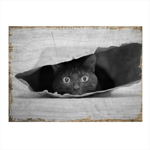 Kese Kağıdındaki Siyah Kedi Mdf Poster