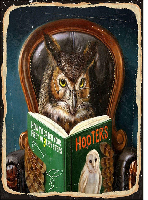 Kitap Okuyan Baykuş Desenli Mdf Tablo